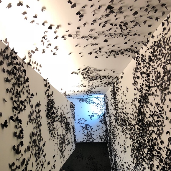 Meet your Posher, Candace - Picture 1 of 1